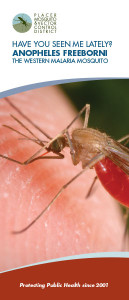 Have you seen me lately? Anopheles Freeborni - The Western Malaria Mosquito