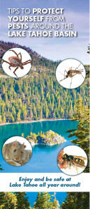 Tips to Protect Yourself from Pests Around the Lake Tahoe Basin