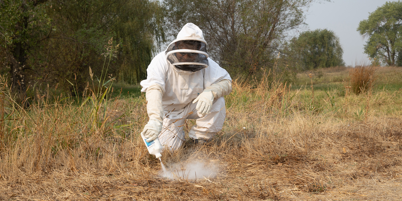 Man in bee suit spraying powder to mitigate yellowjackets