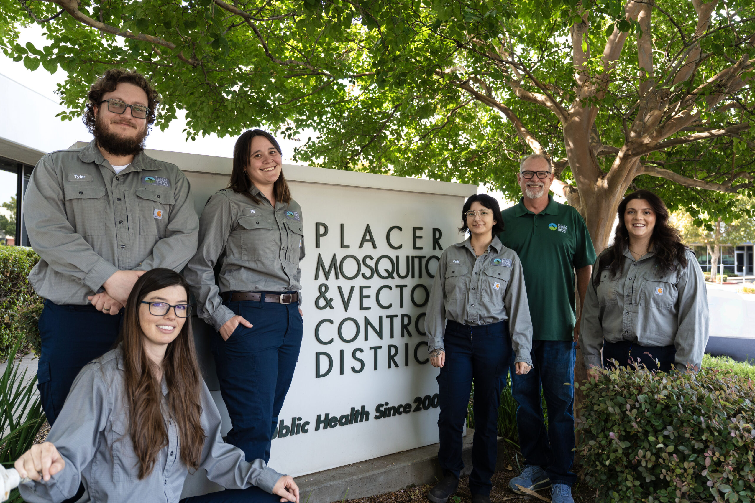lab group